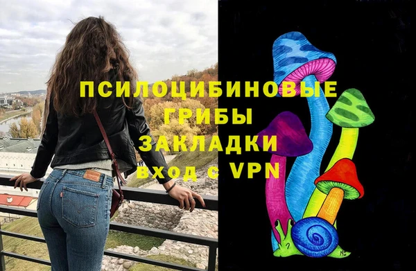 стафф Кодинск