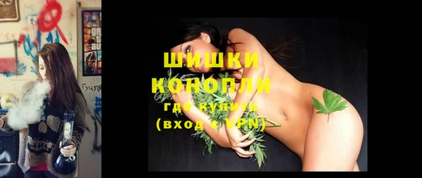 стафф Кодинск