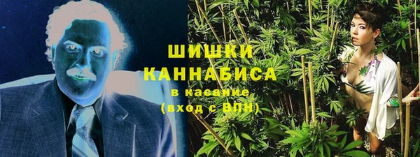 стафф Кодинск