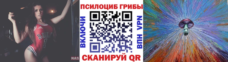 кракен зеркало  Киров  Галлюциногенные грибы мицелий 