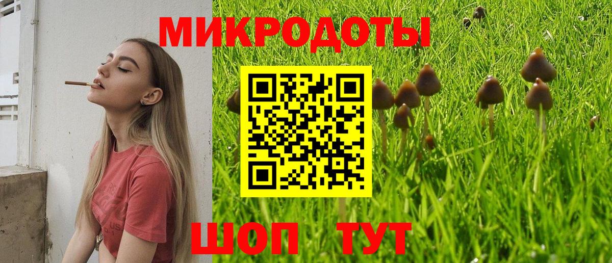 Псилоцибиновые грибы GOLDEN TEACHER  Псилоцибиновые грибы ЛСД  Вход с VPN  Киров 